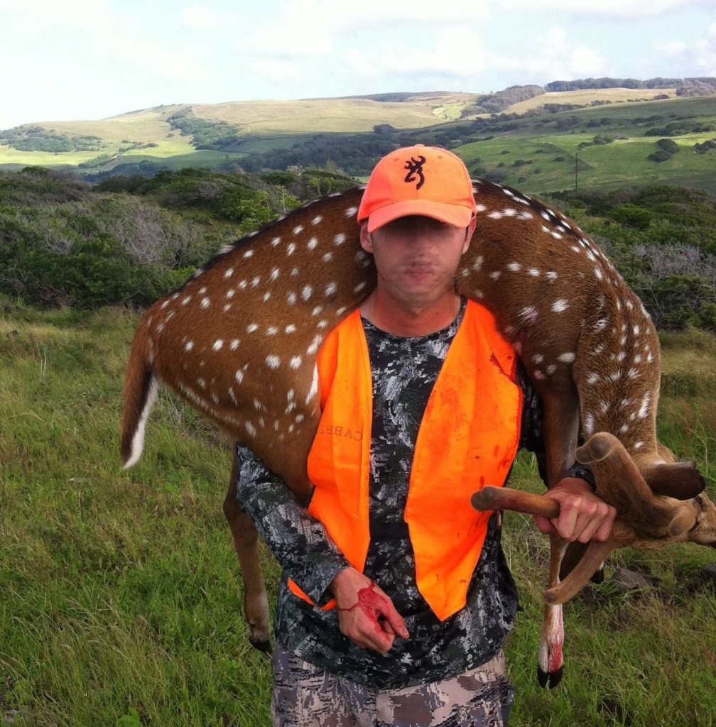 State Ramping Up Efforts To Eradicate Axis Deer Big Island Now