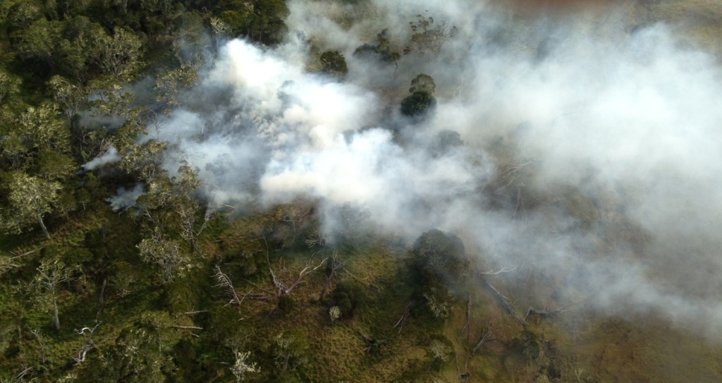 Wildland Fires Blacken Three Acres on Mauna Kea Big Island Now
