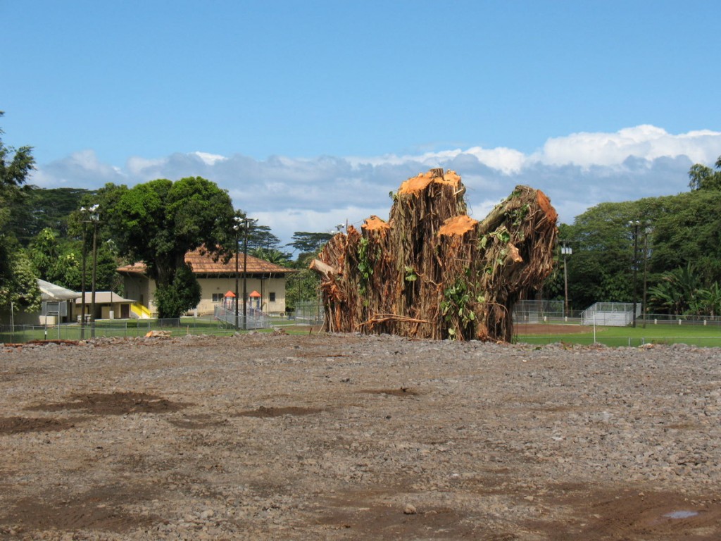 Carvalho Park Keiki Programs Moving to Civic Big Island Now