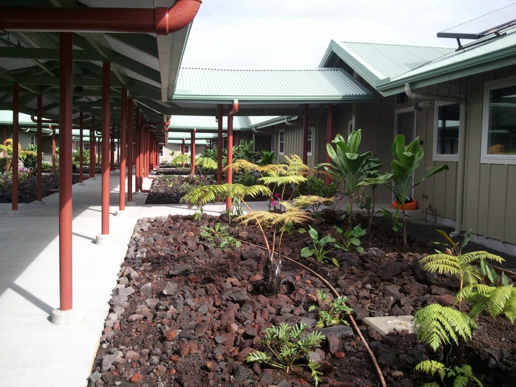 Dedication Thursday for Hilo Senior Housing Project Big Island Now