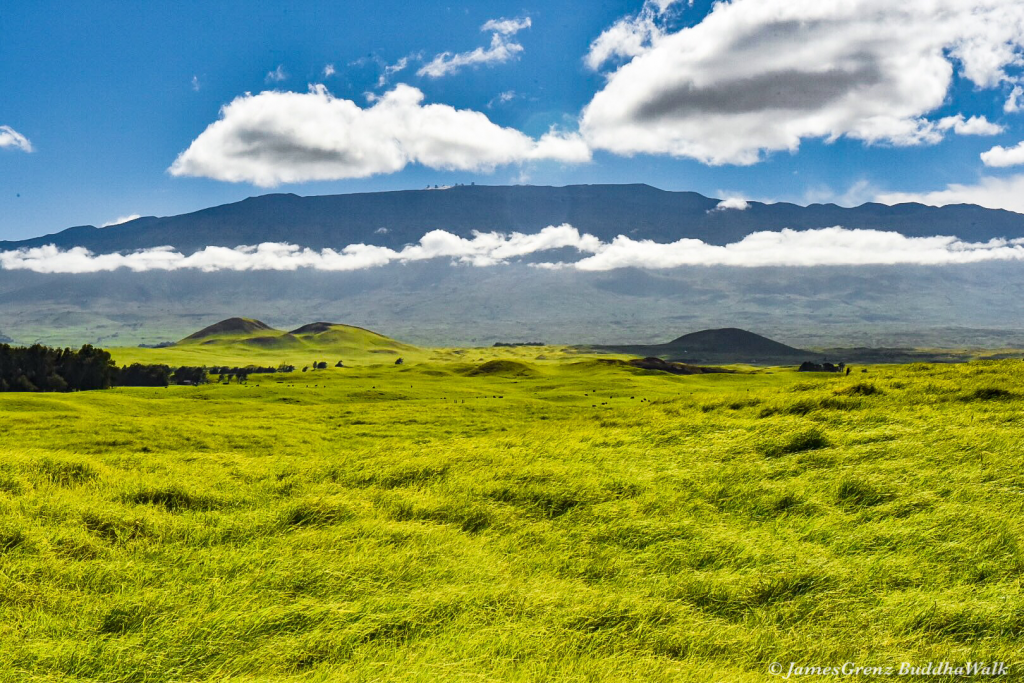 Big Island New Year’s Eve Forecast Big Island Now