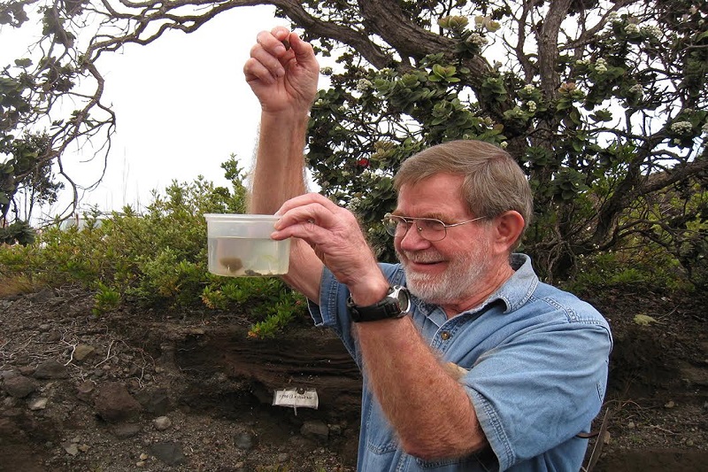 VOLCANO WATCH HVO Geologist Receives Two Prestigious Awards Big Island Now
