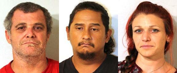 Two Arrested for Alleged Puna Avocado Theft : Big Island Now