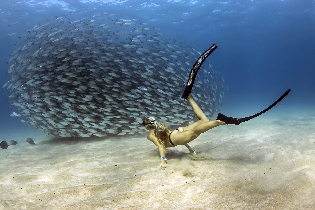 Kona Among Best Free Diving Locations in the World Big Island Now