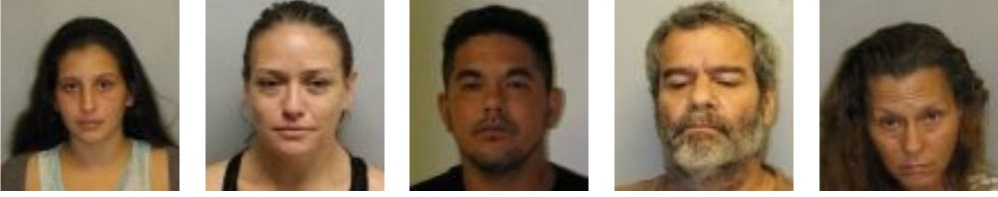 Five Big Island Fugitives Wanted on Various Charges : Big Island Now
