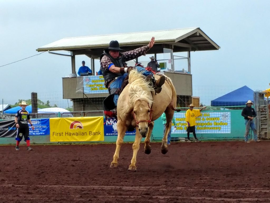 25th Pana‘ewa Rodeo Stampede Results Big Island Now