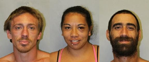 Three Arrested in Connection with Puna Kidnapping : Big Island Now