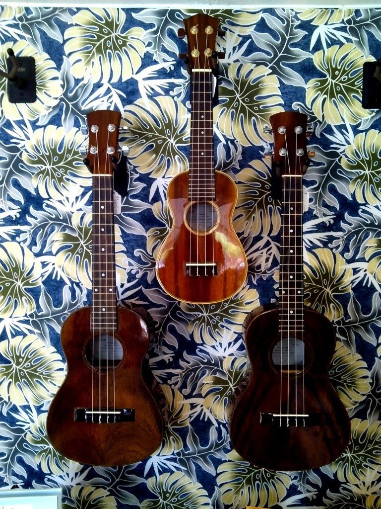 Hawaiian ‘Ukulele and Guitar to Open in Hilo Big Island Now