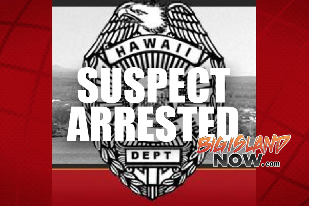 Puna Man Arrested in Connection with Bench Warrant, Assault : Big ...