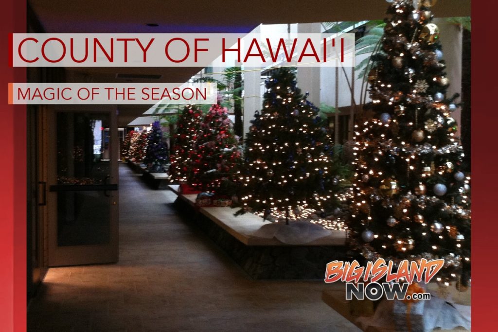 Christmas At The County Of Hawaii Building 2022 Christmas At The Hawai'i County Building | Big Island Now