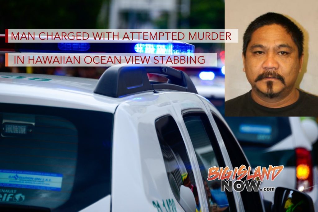 Man Charged with Attempted Murder in Hawaiian Ocean View Stabbing : Big ...