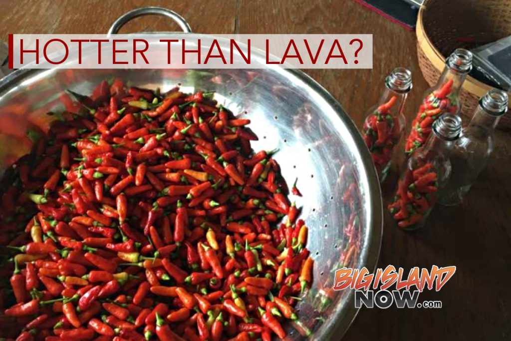 Hawaiian Hot Sauce in Lava Land Big Island Now