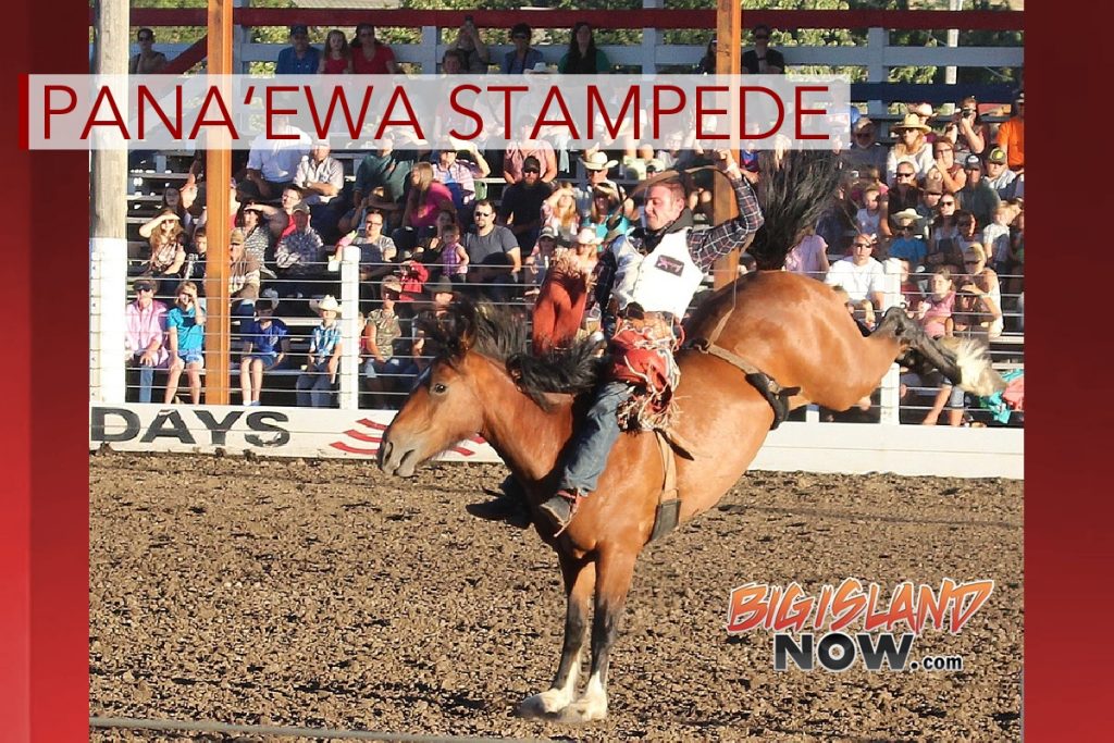 Pana‘ewa Stampede Rodeo Coming Soon Big Island Now