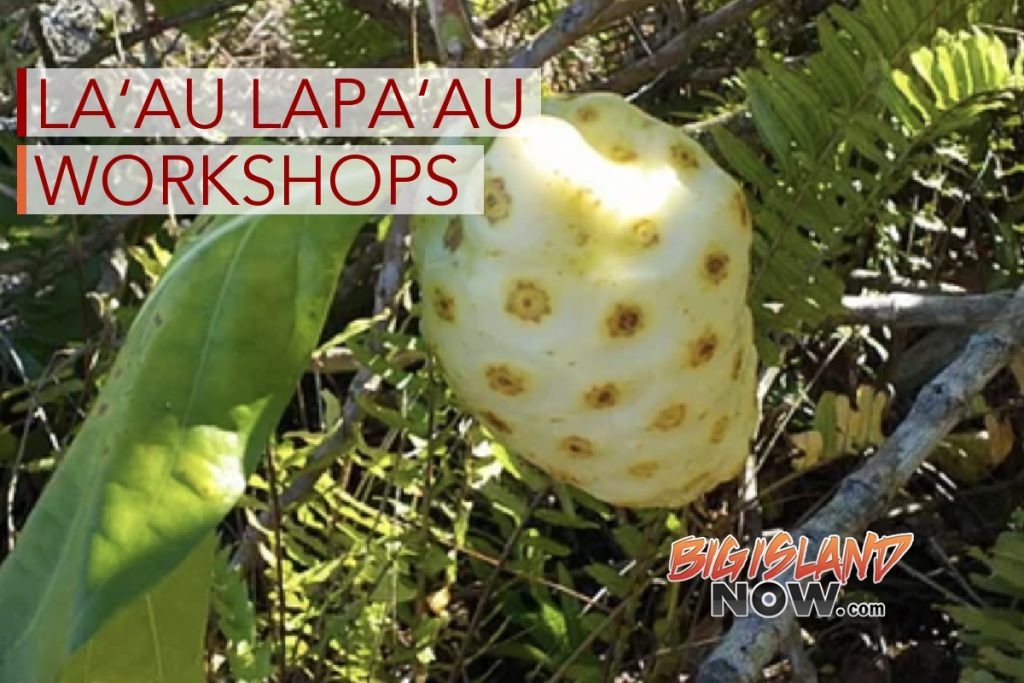 Lā‘au Lapa‘au Being Held on Preserving Ancient Knowledge