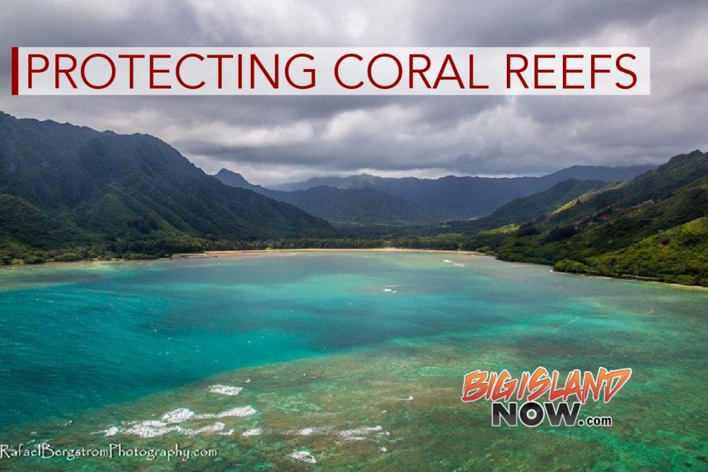 Reef Safe Sunscreen Law in Effect, But Advocates Say More Yet to be