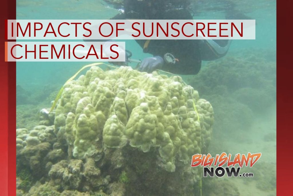 Legislation to Study Impacts of Sunscreen Chemicals on Coral Reefs