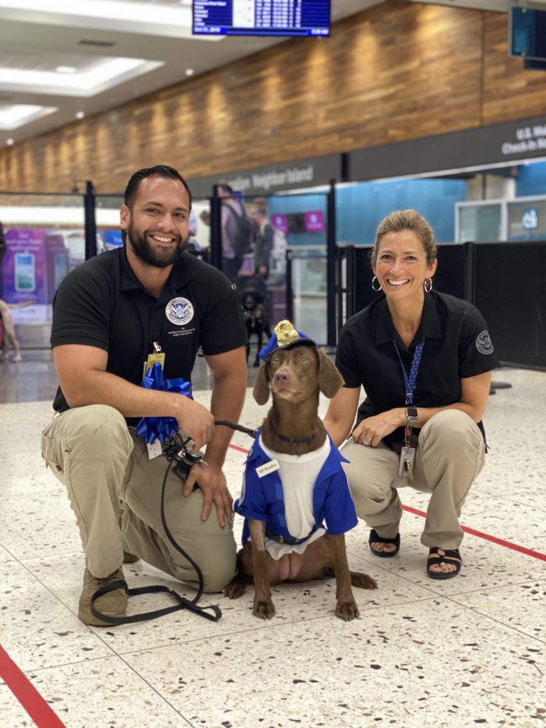 TSA K9 Hershey Big Island Now