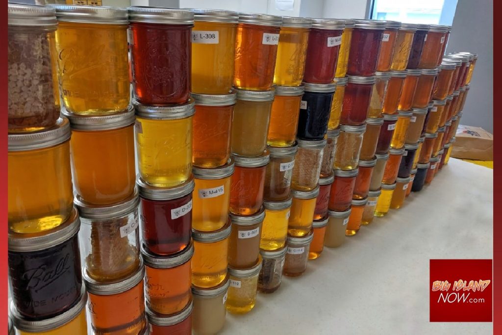 Big Island Beekeepers Host Honey Challenge Big Island Now