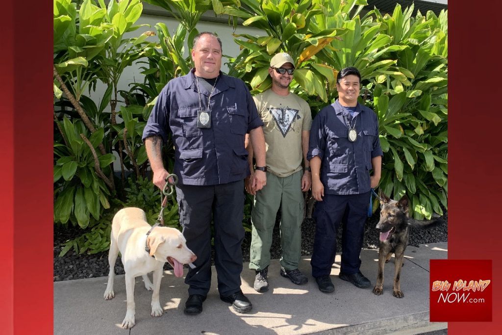 HPD Tracking Dogs Undergo Training Big Island Now