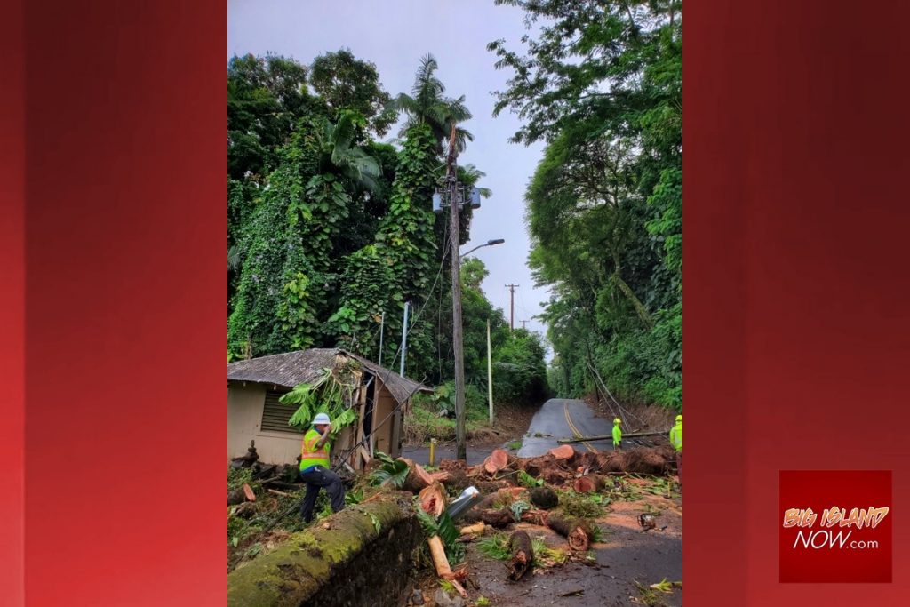 Restrictions Remain in Place After Felled Tree Damages Water Pump