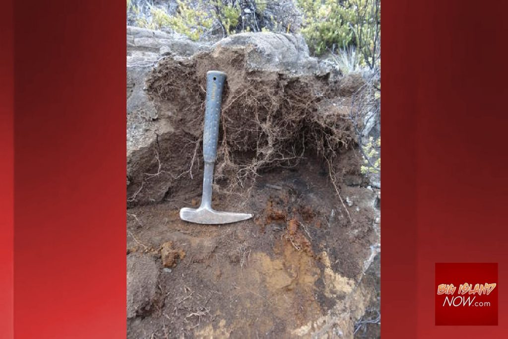 Volcano Watch Charcoal Provides Understanding to Processes in Young Volcanic Terranes Big