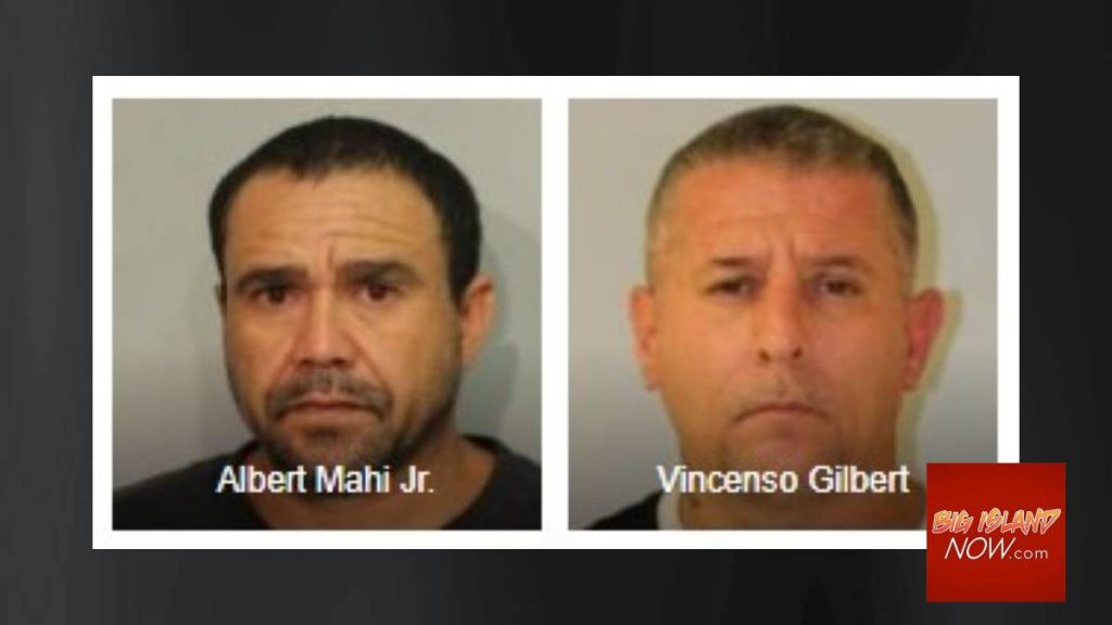 UPDATE: Two Puna Men Charged in Stabbing Investigation : Big Island Now