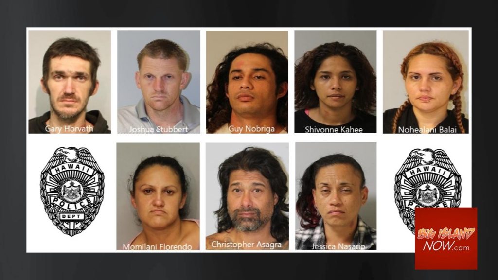 9 Arrested During Warrant Sweep in Puna : Big Island Now