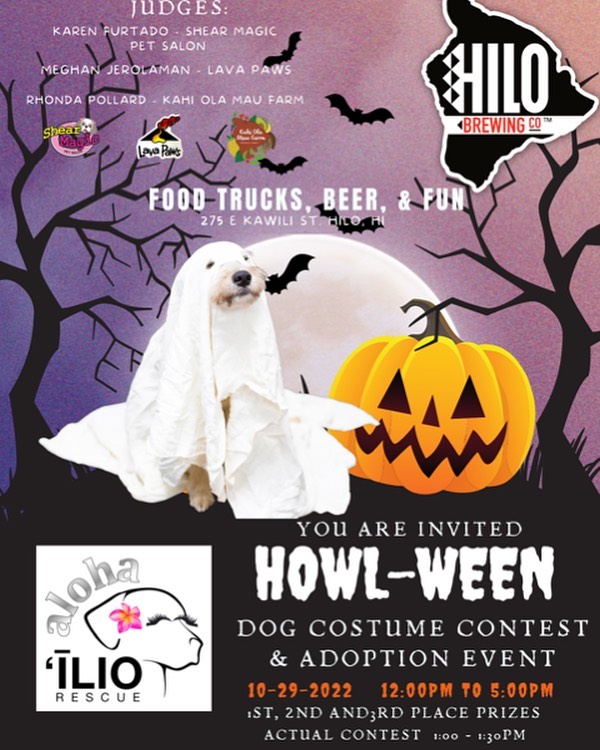 EDITABLE Halloween Pet Costume Contest Flyer, Animal Shelter Rescue  Community Nonprofit Halloween Benefit Event, Halloween Party, PRINTABLE