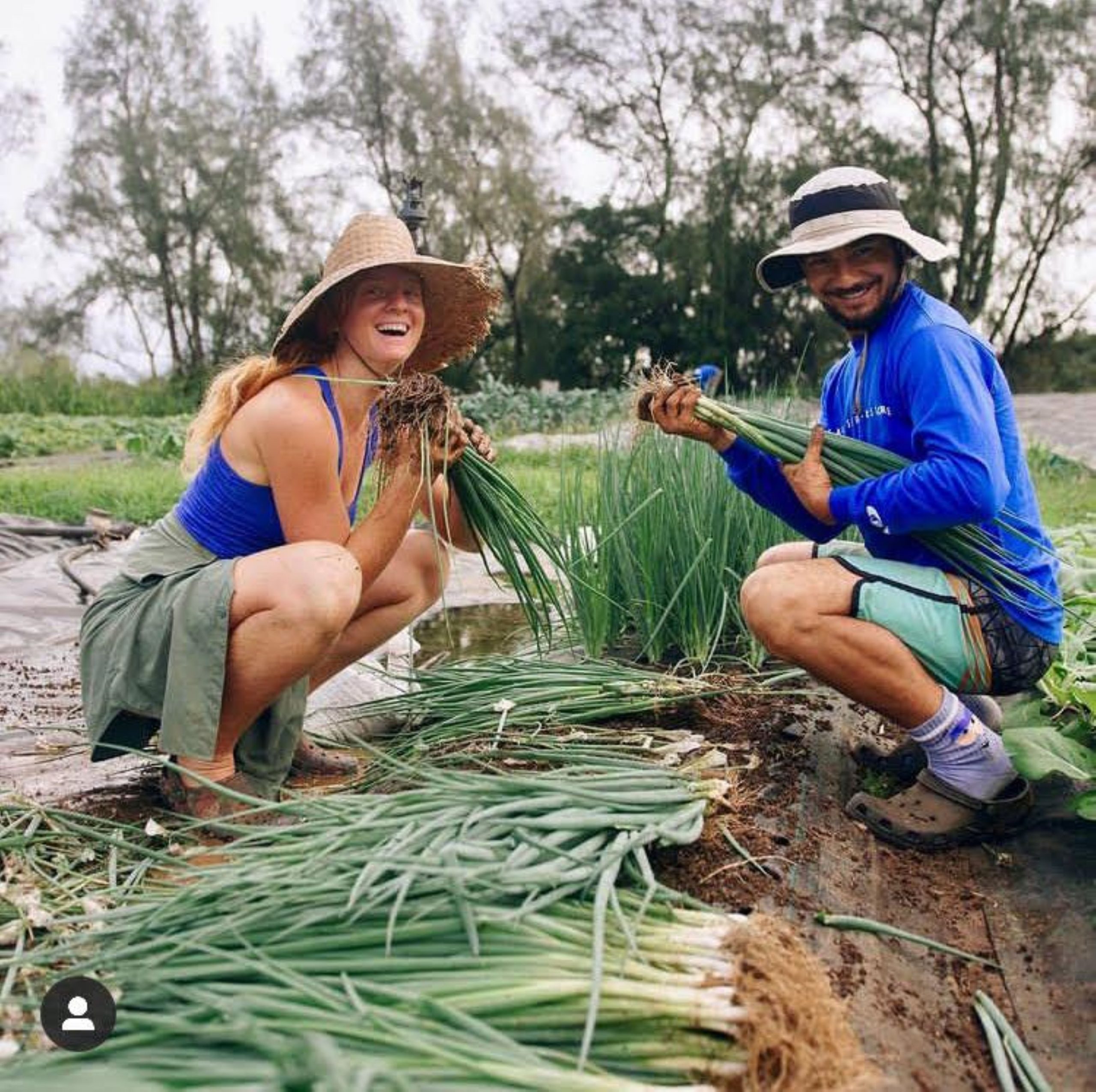 Do You Want An Agricultural Career This Big Island Residential Program 