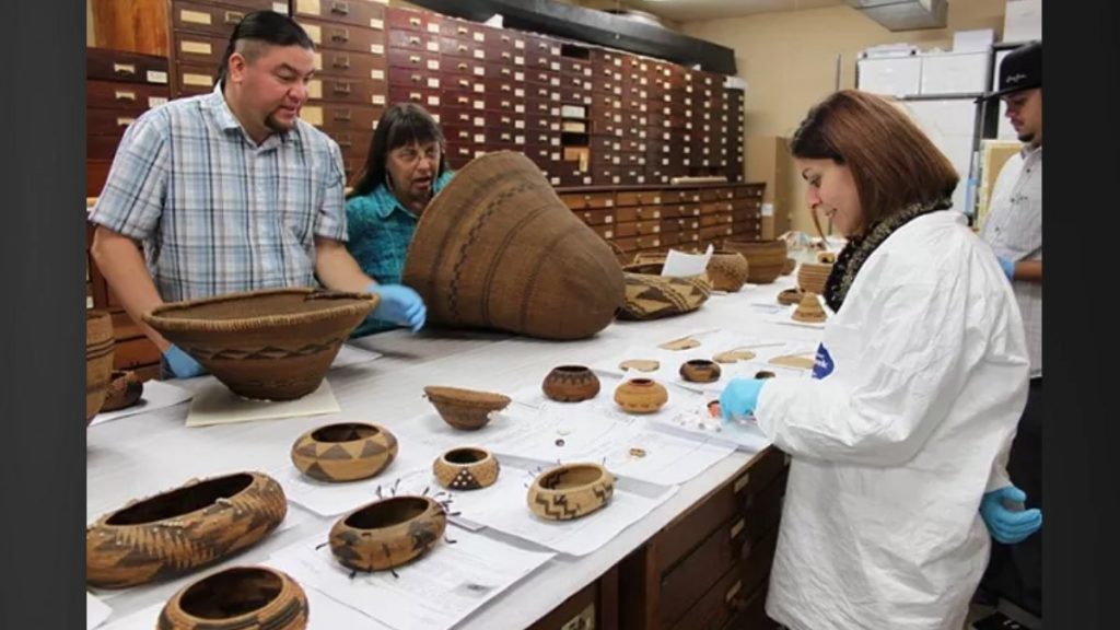 Universities, museums urged to comply with Native American Graves