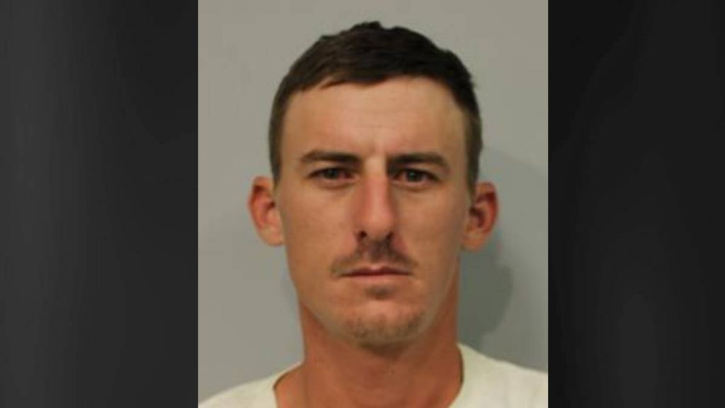 Prosecutors indict Captain Cook man in South Kona hit-and-run case : Big Island Now - Vimarsana News
