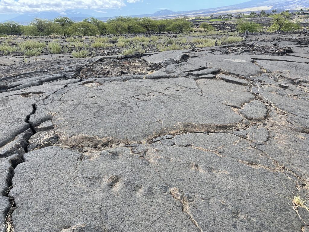 Last tsunami in kona