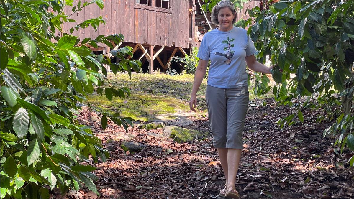 Business Monday: Multigenerational farm Lions Gate Coffee looking for new owners