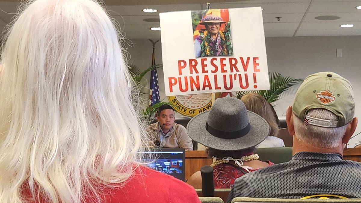 Kaʻū community rallies to save public access to Punaluʻu Black Sand Beach Park