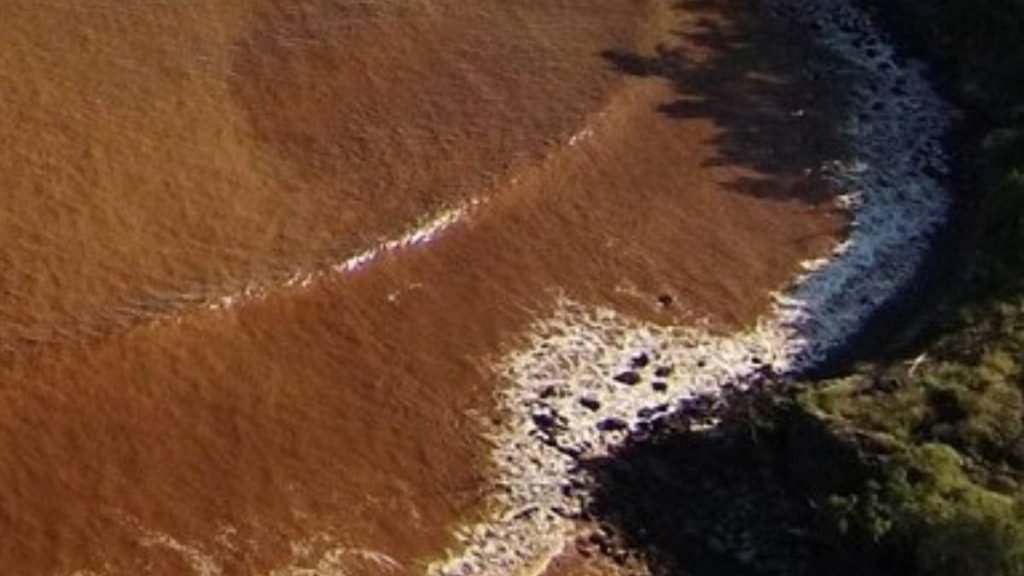 Brown water advisory issued throughout Hawaiian Islands