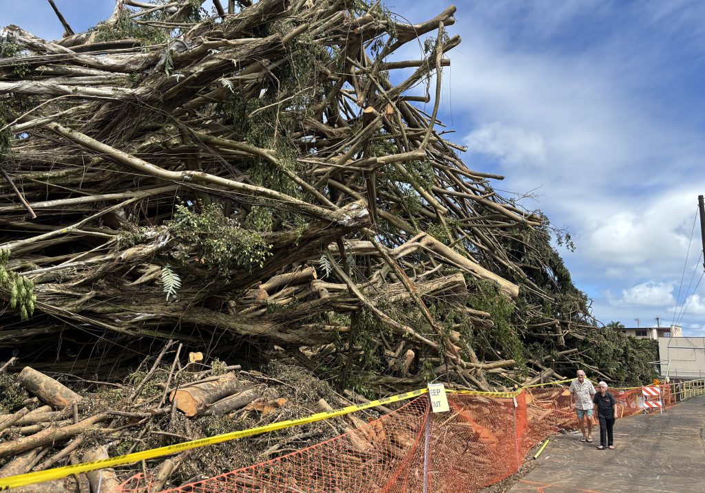 UPDATE: Police recover bodies of 2 women from within downed banyan tree in Hilo | Big Island Now UPDATE: Police recover bodies of 2 women from within downed banyan tree in Hilo | Big Island Now
