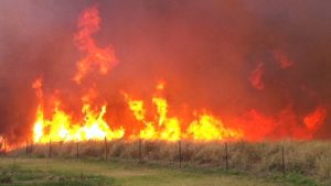 Hawaiian Electric shuts off power in South Kohala because of wildfire risk