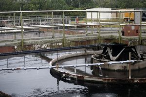 Advisory lifted after discharge of partially treated wastewater at Puhi Bay in Hilo