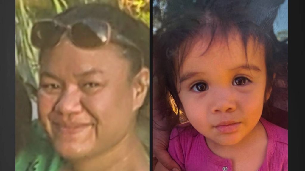 Mother who might need medical assistance, 2-year-old daughter missing