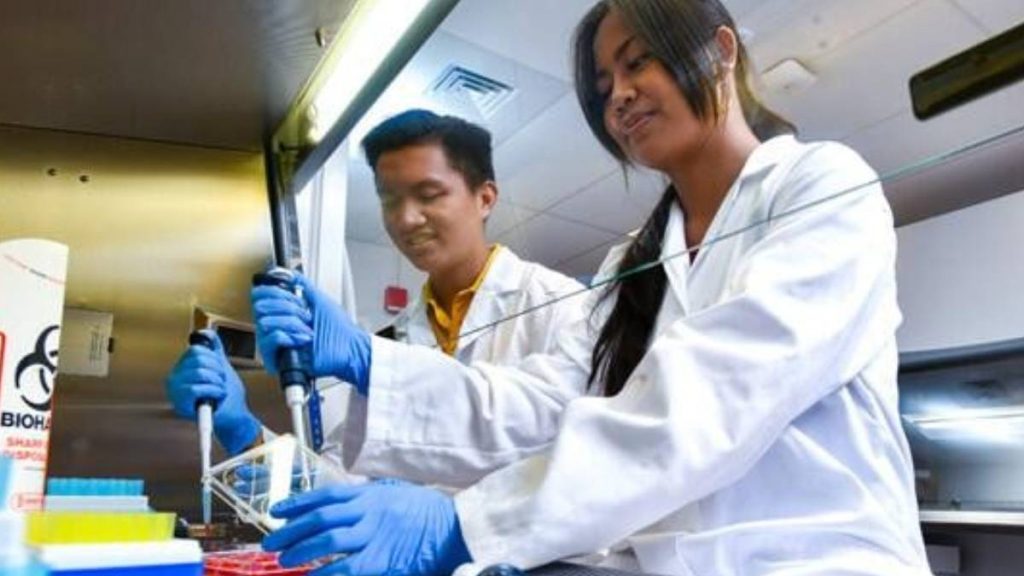 University of Hawaiʻi community colleges among the top of their class