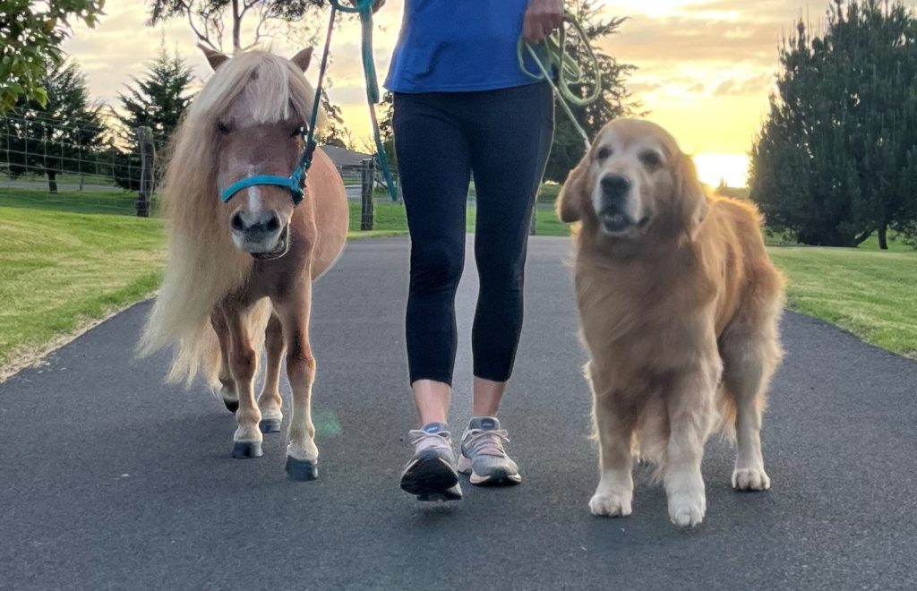 Research has found that people who walk with an animal are more likely to meet physical activity recommendations. (Photo Courtesy)