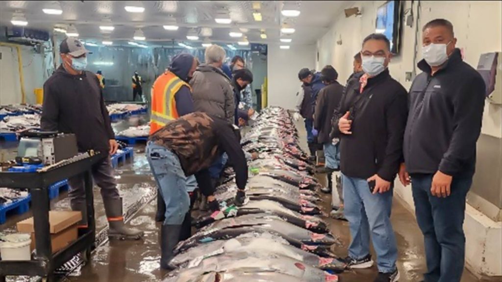 Western Pacific council urges stronger standards for marine mammal protection in seafood imports
