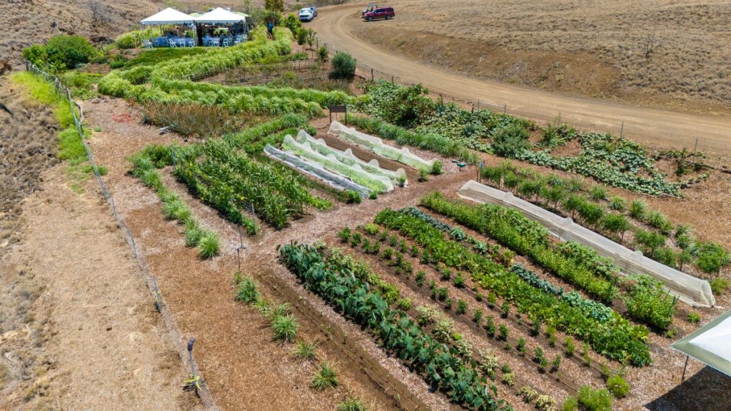 The three-acre community garden will serve local restaurants, alongside a thirty-acre community farm equipped with advanced greenhouses for water conservation and year-round crop production. (Photo Credit: Hawai'i Food & Wine Festival)