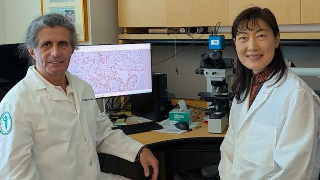 University of Hawai‘i Cancer Center identifies treatable form of mesothelioma