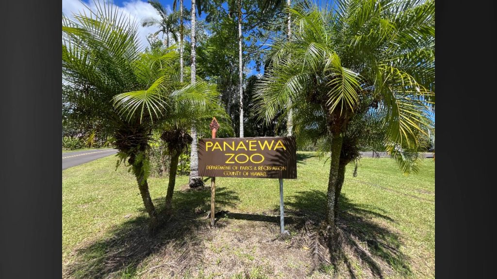 Trick-or-treaters can enjoy their favorite Halloween traditions at the Panaʻewa Rainforest Zoo & Gardens, all while immersed in the enchanting rainforest atmosphere. (Photo Credit: County of Hawaiʻi)
