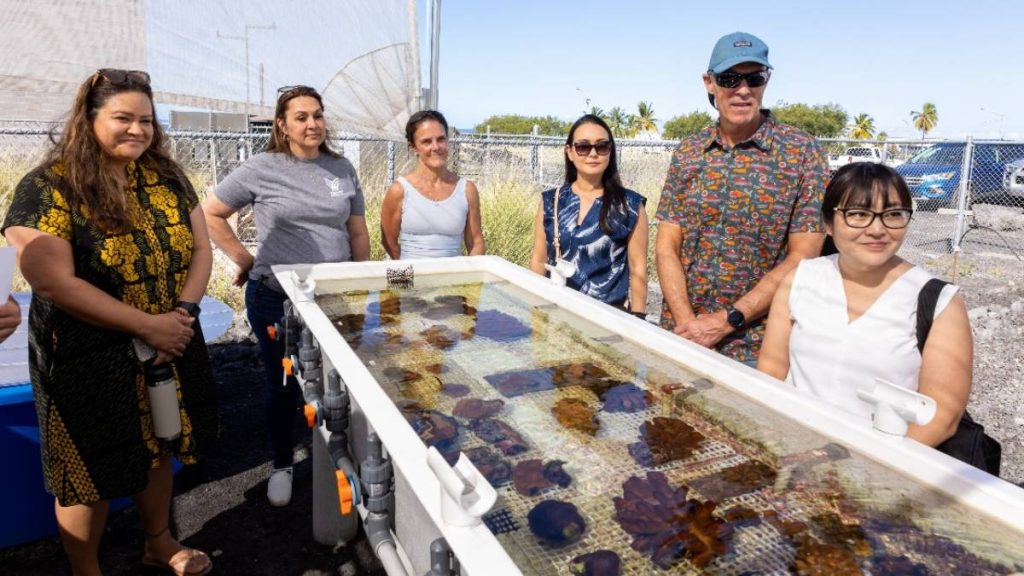 Members of state House Finance Committee visit Big Island, visit several projects, programs