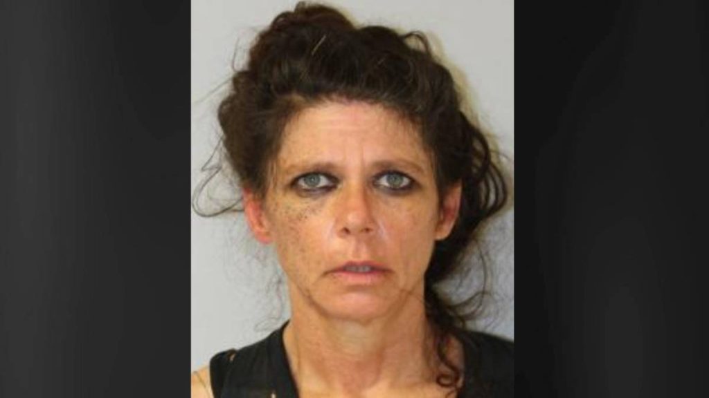 Georgia woman arrested after two incidents involving speeding, reckless driving