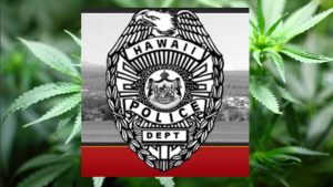 Police investigate large marijuana growing operation in Ocean View
