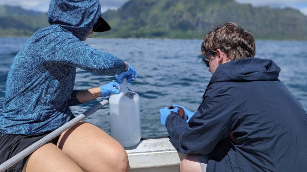 University of Hawaiʻi study reveals critical new details about diversity of ocean’s most abundant bacteria