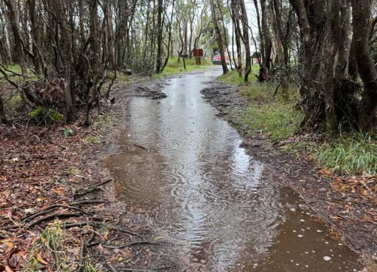 Flood watch issued for Hawaiʻi Island until Saturday morning